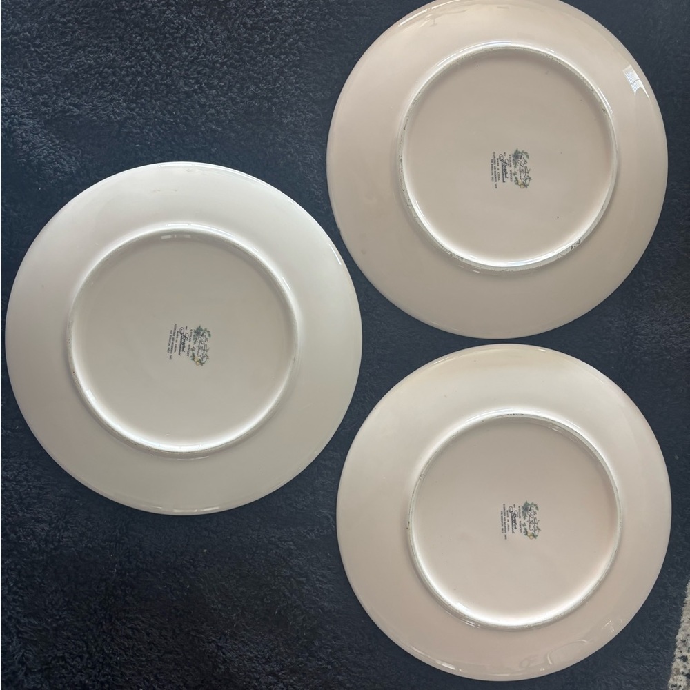 Elegant Cream Dinner Plates Set